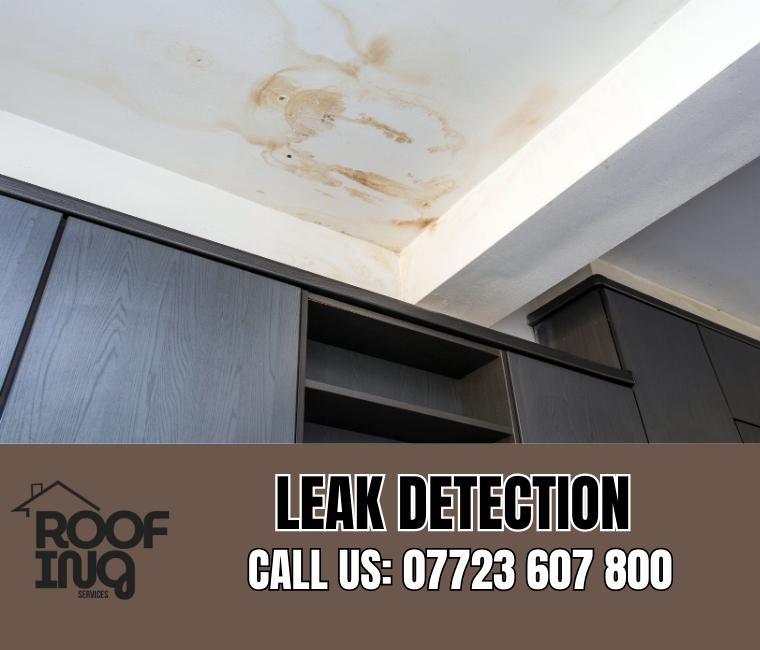 Roof leak detection and repair in Mullion