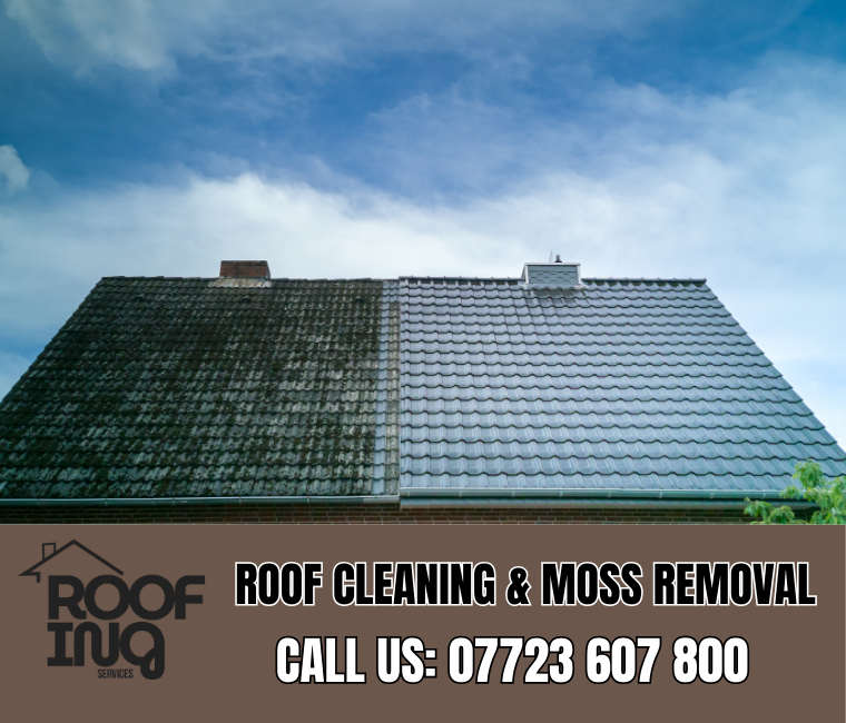Roof Cleaning in Mullion